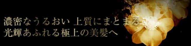 『ロレアル・パリ エクストラ オーディナリーオイル 』