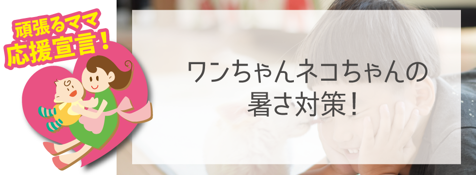 【頑張るママ応援宣言】ワンちゃんネコちゃんの暑さ対策！